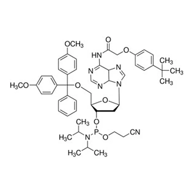 Merck DMT-DA(TAC) AMIDITE 1G, 89, 12 PACK