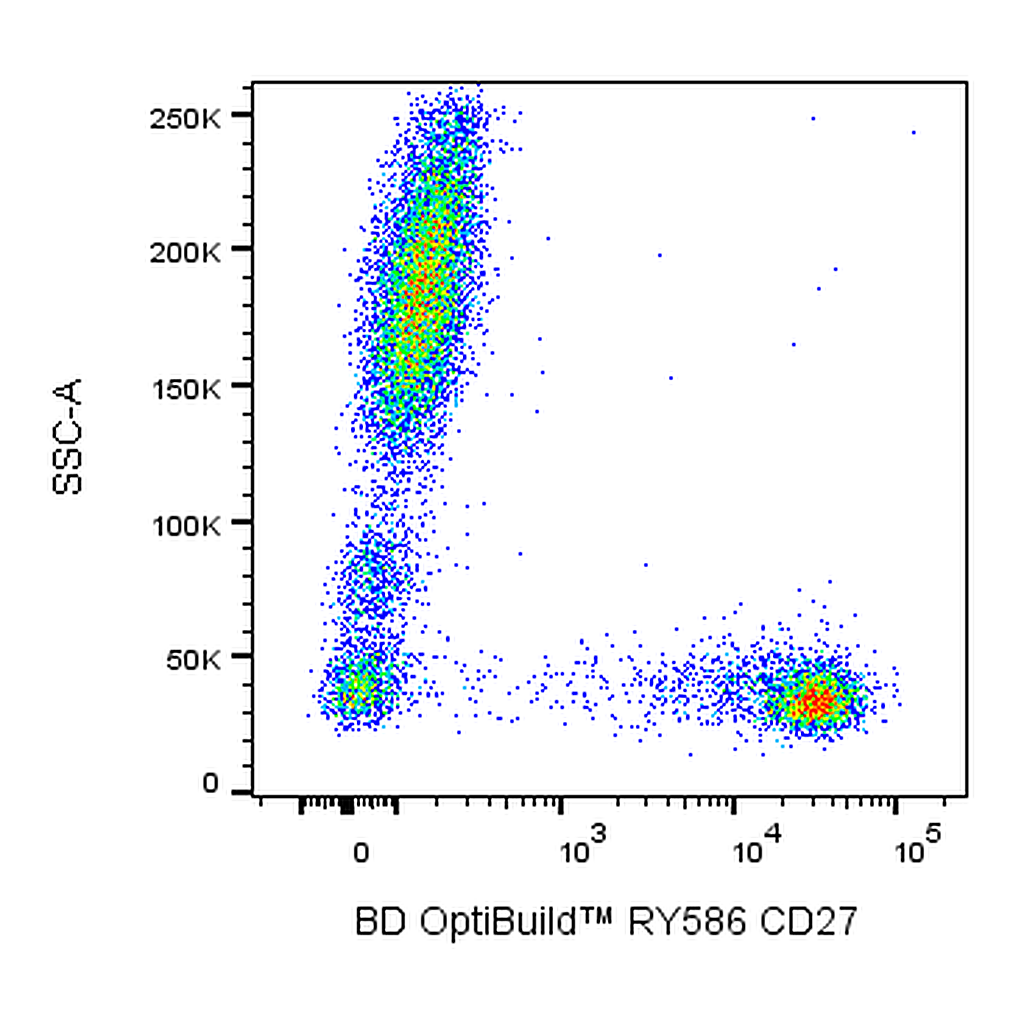 BD RY586 Mouse Anti-Human CD27