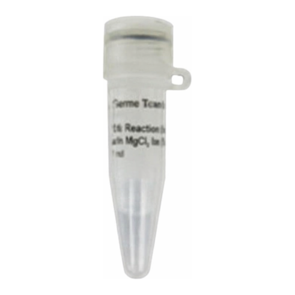 Thermo Fisher Scientific Reaction Buffer with MgCl2 for DNase I (10X)