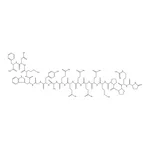 Merck Gastrin I rat