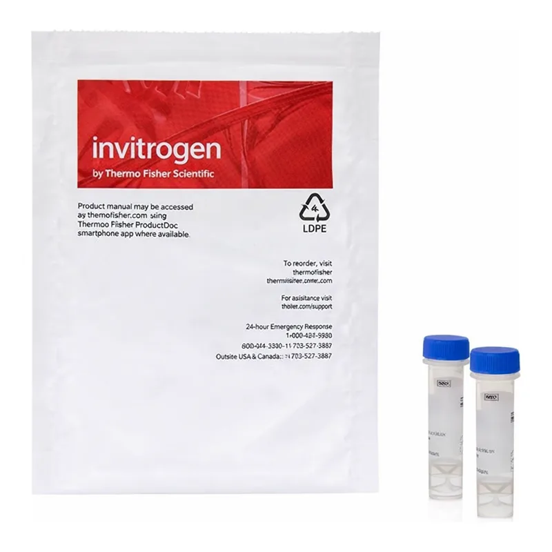 Thermo Fisher Scientific Calcium Green-1, AM, cell permeant, 500ug