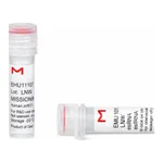 Merck MISSION(R) esiRNA
