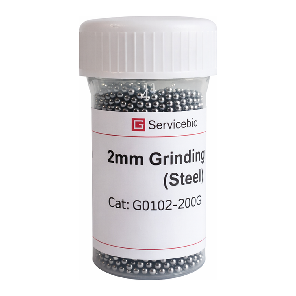 Servicebio Grinding Beads (Steel)