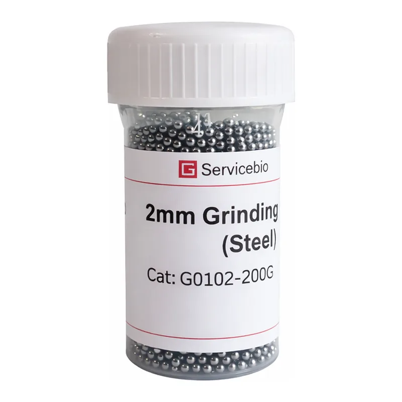 Servicebio Grinding Beads (Steel)
