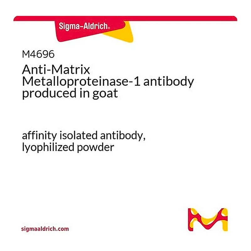 Merck Anti-Matrix Metalloproteinase-1 antibody produced in goat