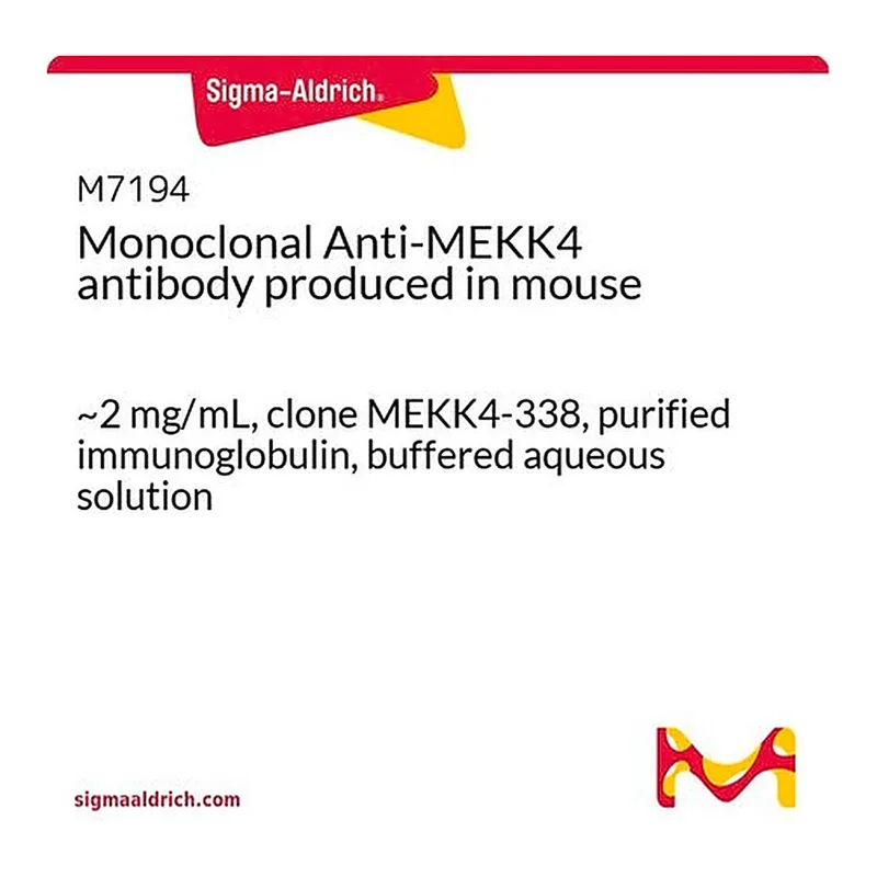 Merck Monoclonal Anti-MEKK4 antibody produced in mouse
