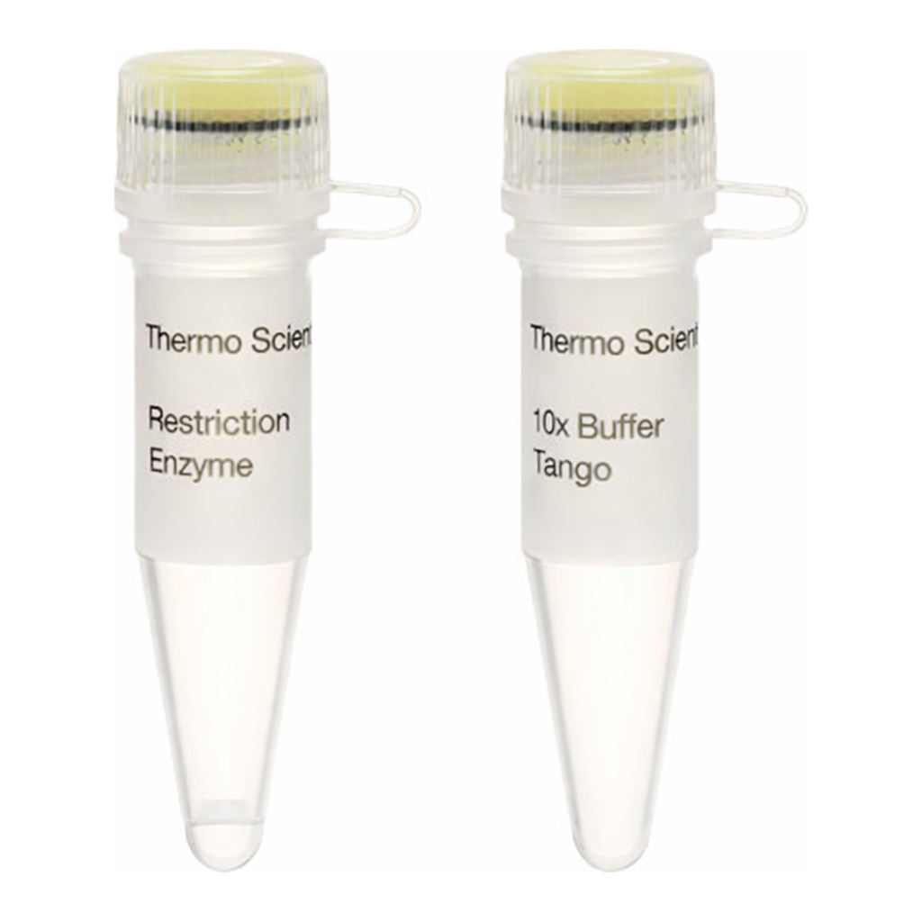 Thermo Fisher Scientific Alw26I (BsmAI) (10 U/&mu;L)