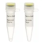 Thermo Fisher Scientific Alw26I (BsmAI) (10 U/μL)