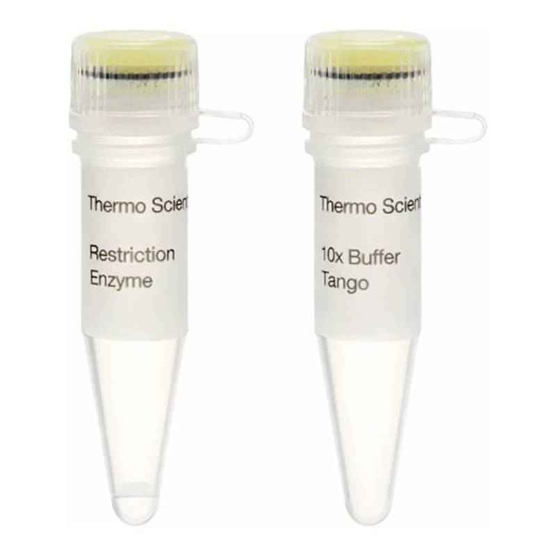 Thermo Fisher Scientific Alw26I (BsmAI) (10 U/μL)