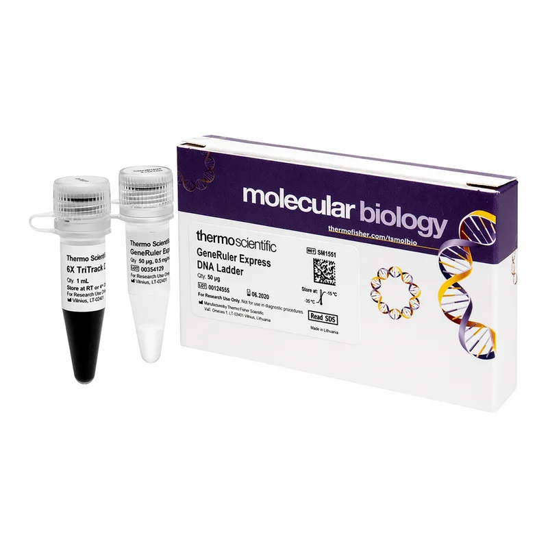 Thermo Fisher Scientific GeneRuler Express DNA Ladder