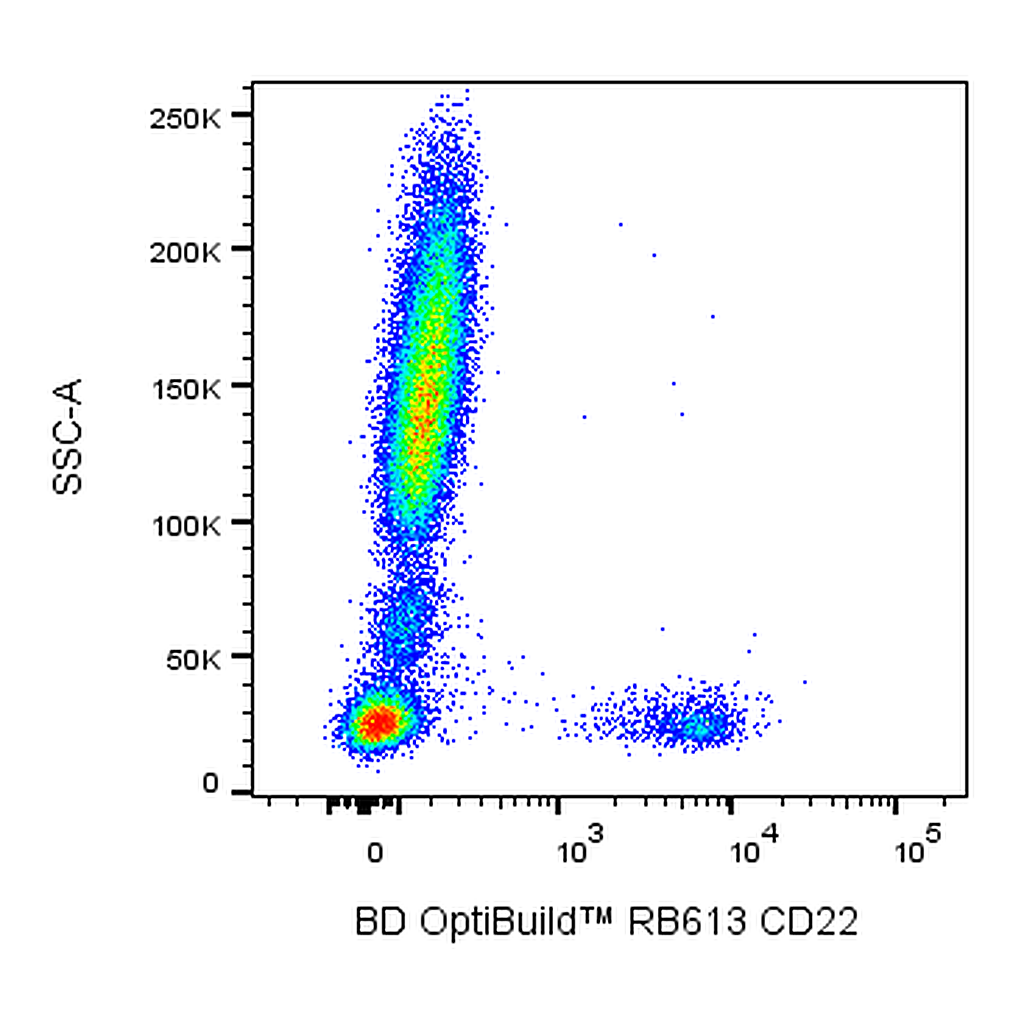 BD RB613 Mouse Anti-Human CD22