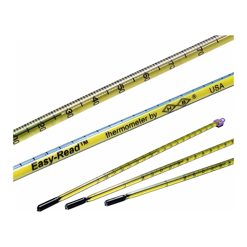 Merck Easy-Read(R) thermometer