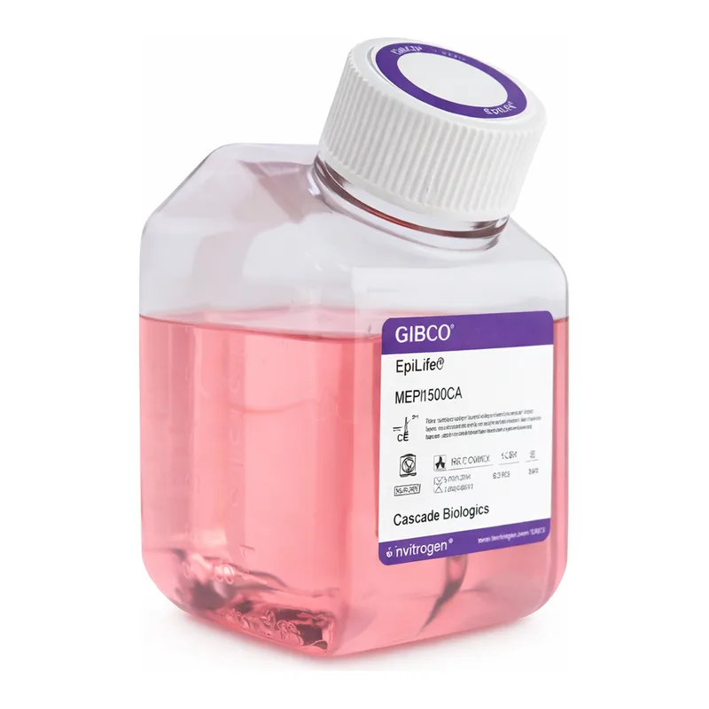 Thermo Fisher Scientific EpiLife Medium, with 60 μM calcium