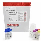 Thermo Fisher Scientific EnzChek Phosphatase Assay Kit