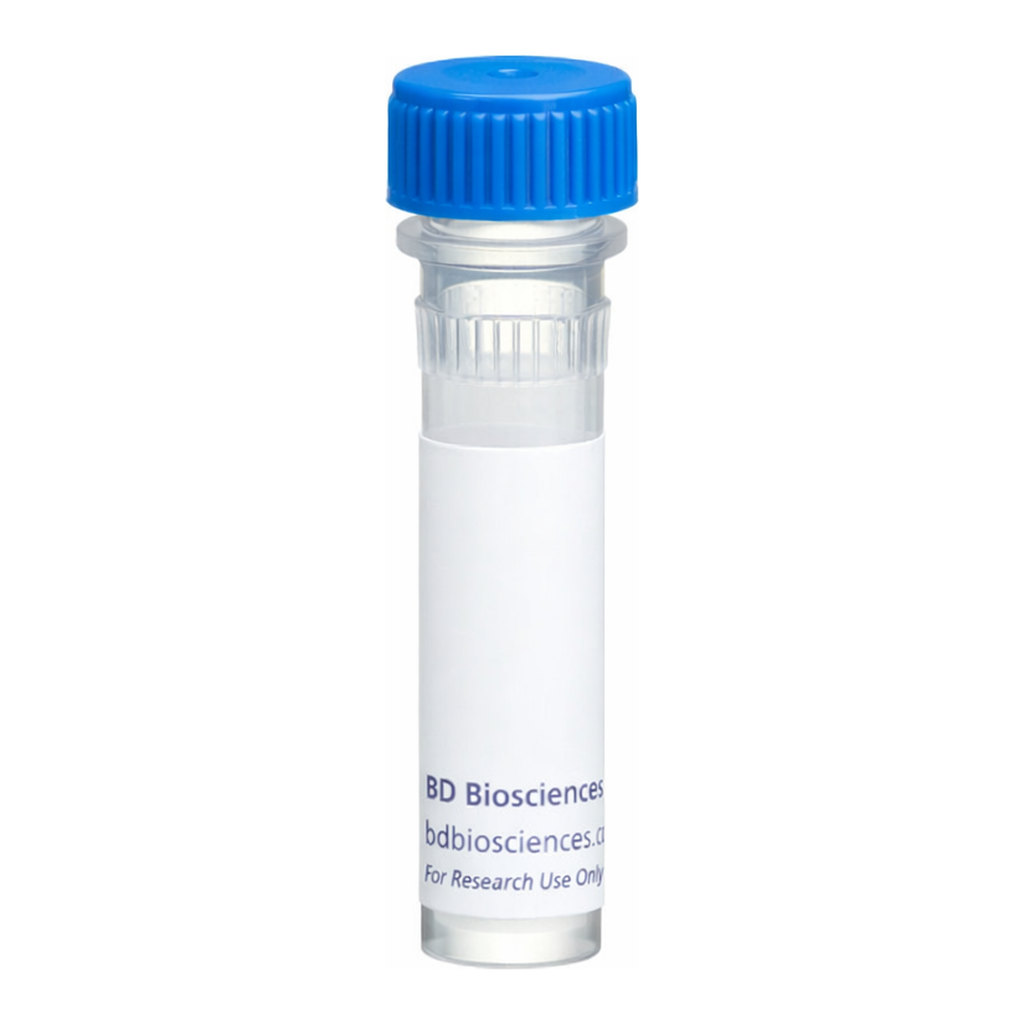 BD Purified Rat Anti-Mouse Ly-6D