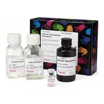 Thermo Fisher Scientific Pierce Glycoprotein Staining Kit
