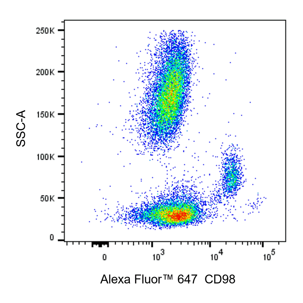 BD Alexa Fluor 647 Mouse Anti-Human CD98