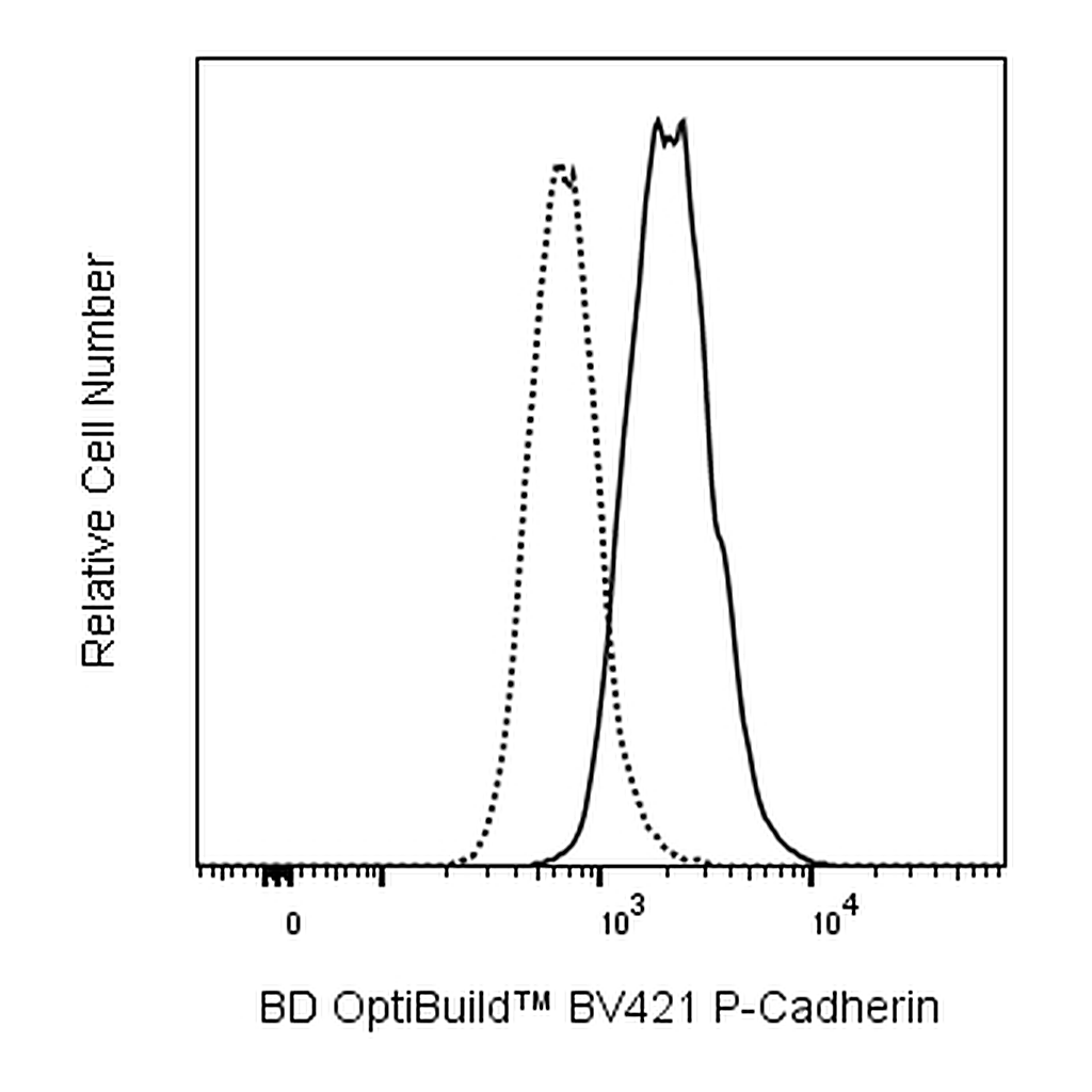 BD BV421 Mouse Anti-Human P-Cadherin