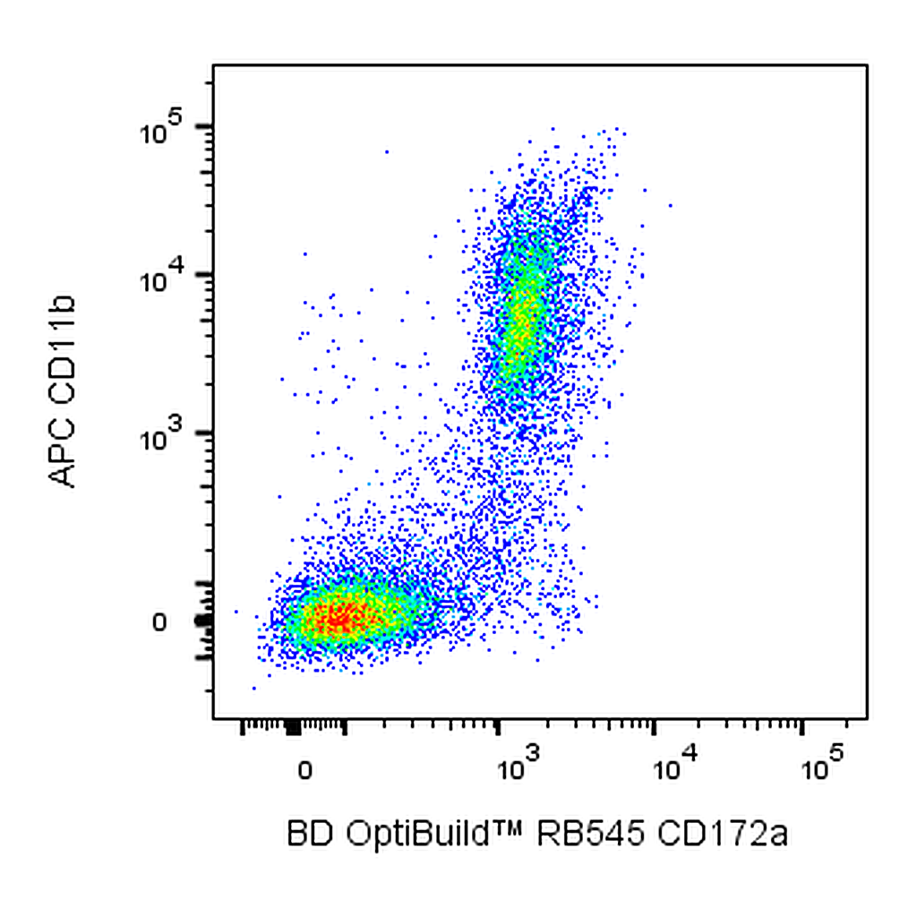 BD RB545 Rat Anti-Mouse CD172a