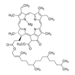 Merck CHLOROPHYLL A, UNITED STATES PHARMACOPEI
