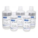 HanLAB LB broth