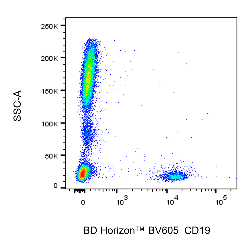 BD BV605 Mouse Anti-Human CD19