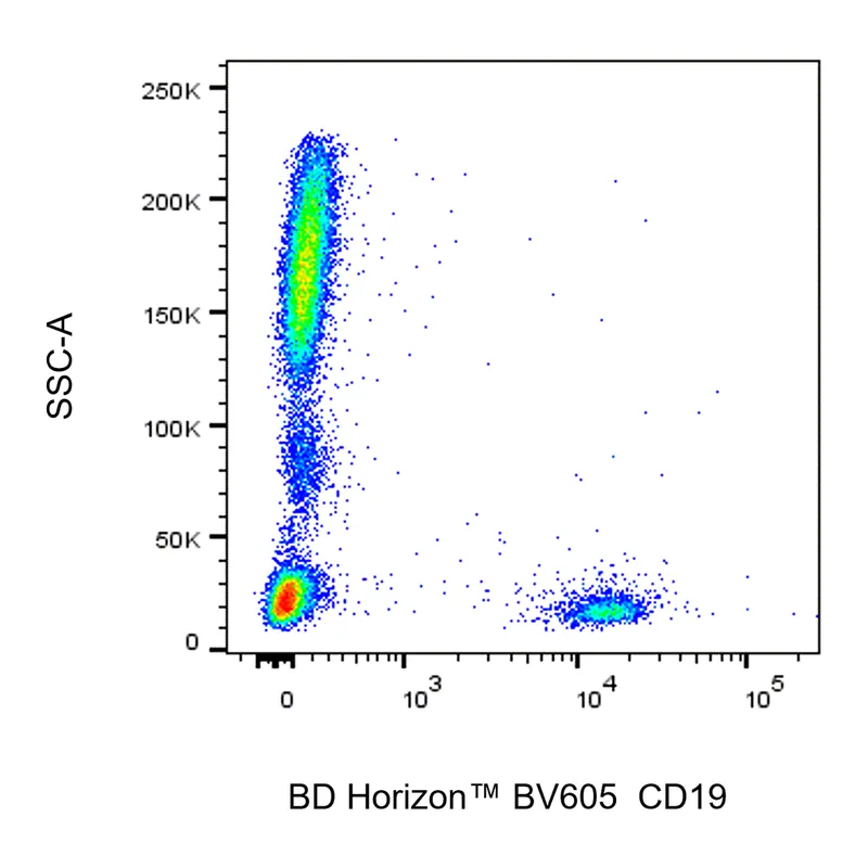 BD BV605 Mouse Anti-Human CD19