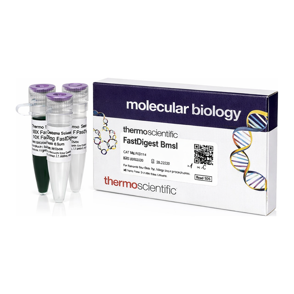 Thermo Fisher Scientific FastDigest BmsI (IIs class)
