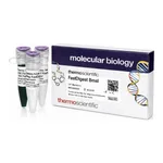 Thermo Fisher Scientific FastDigest BmsI (IIs class)