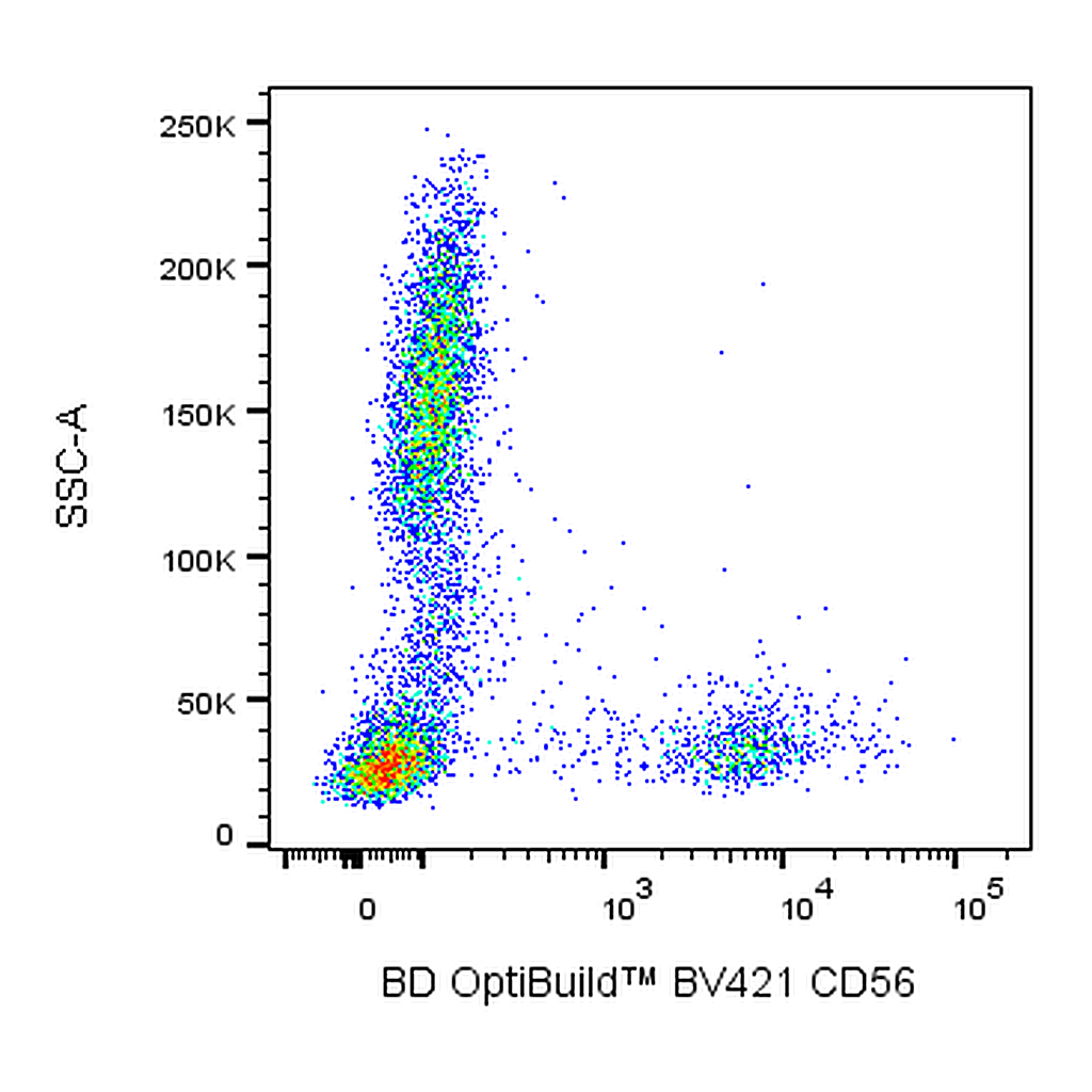 BD BV421 Mouse Anti-Human CD56