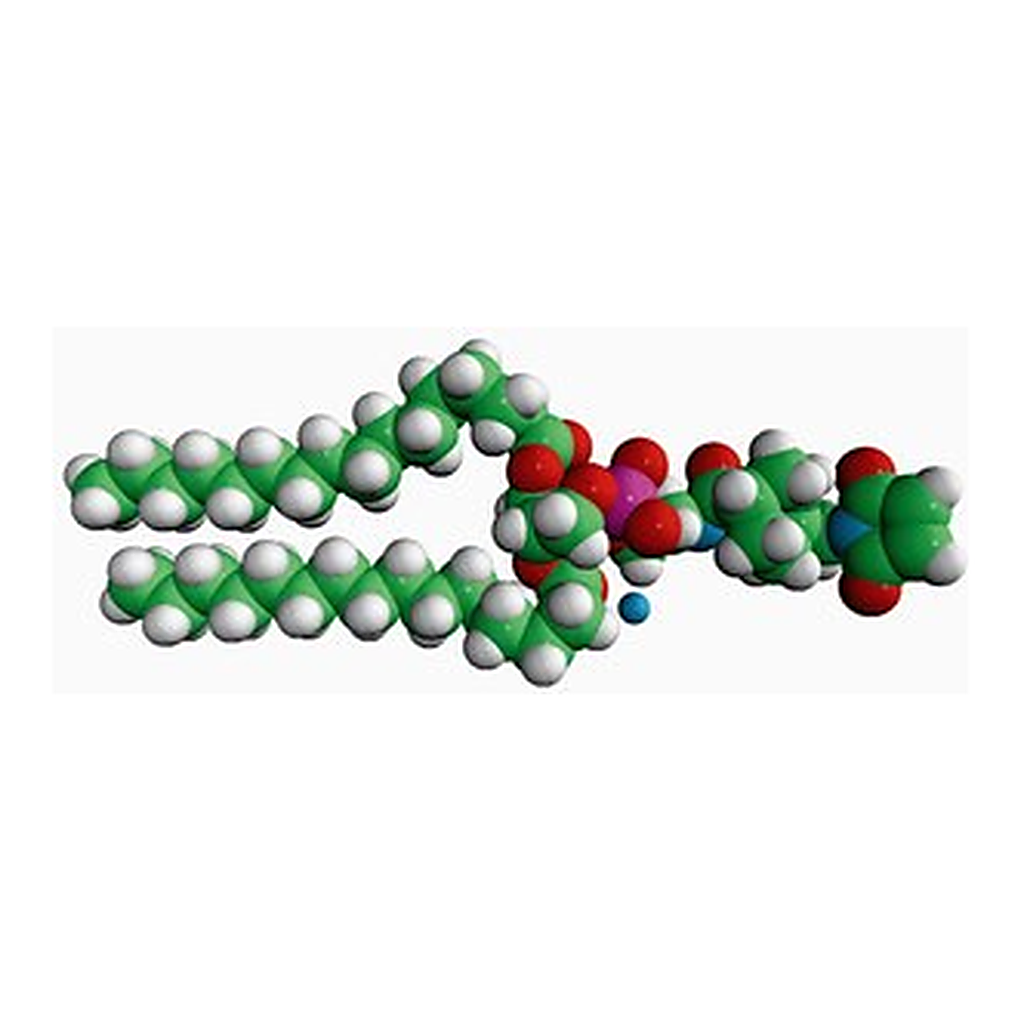 Merck 16:0 PE MCC