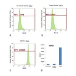 Thermo Fisher Scientific Goat anti-Rabbit IgG (H+L) Cross-Adsorbed Secondary Antibody, FITC