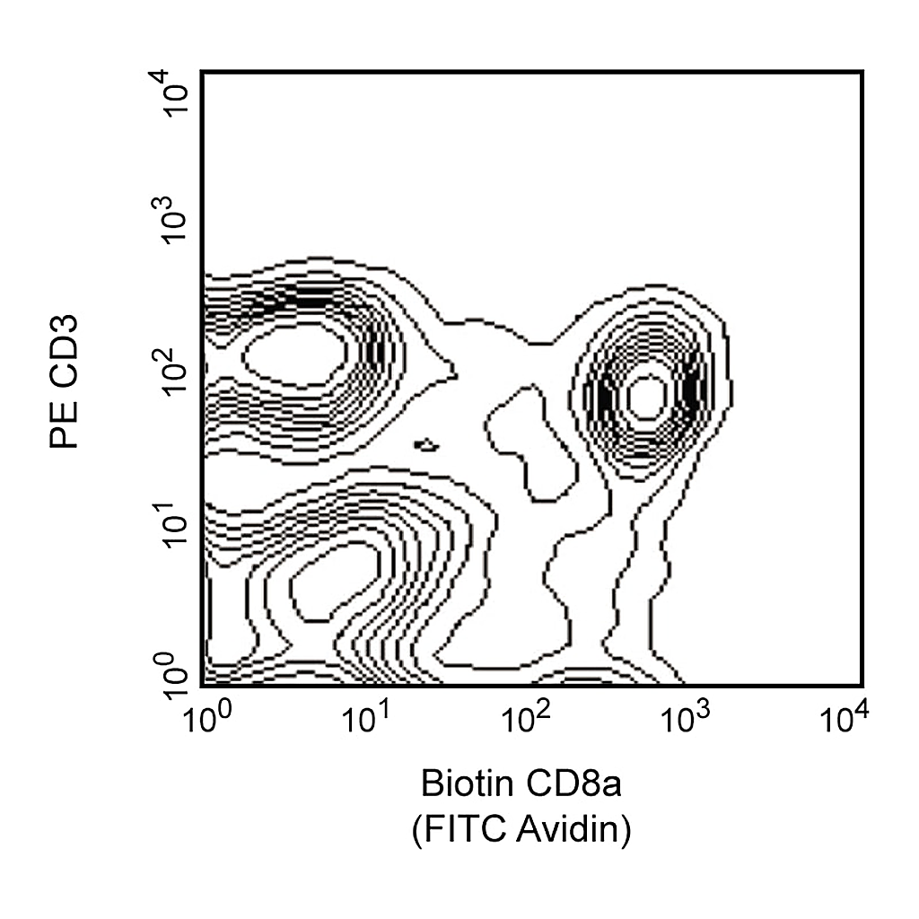 BD Biotin Mouse Anti-Rat CD8a