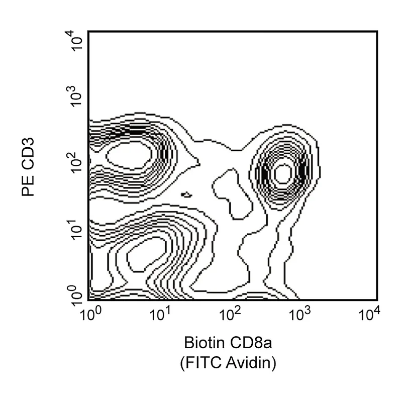 BD Biotin Mouse Anti-Rat CD8a