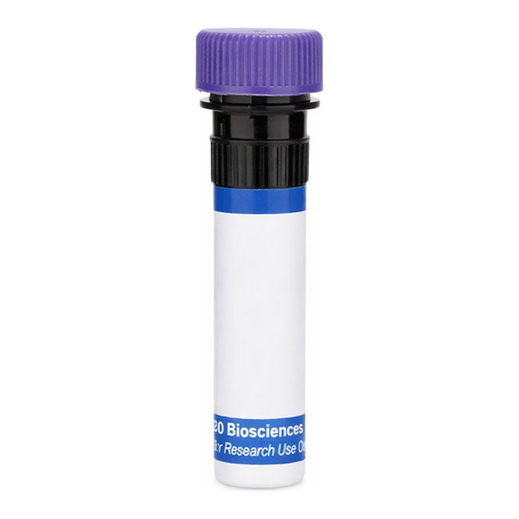 BD RB744 Mouse Anti-Human CD268 (BAFF Receptor)