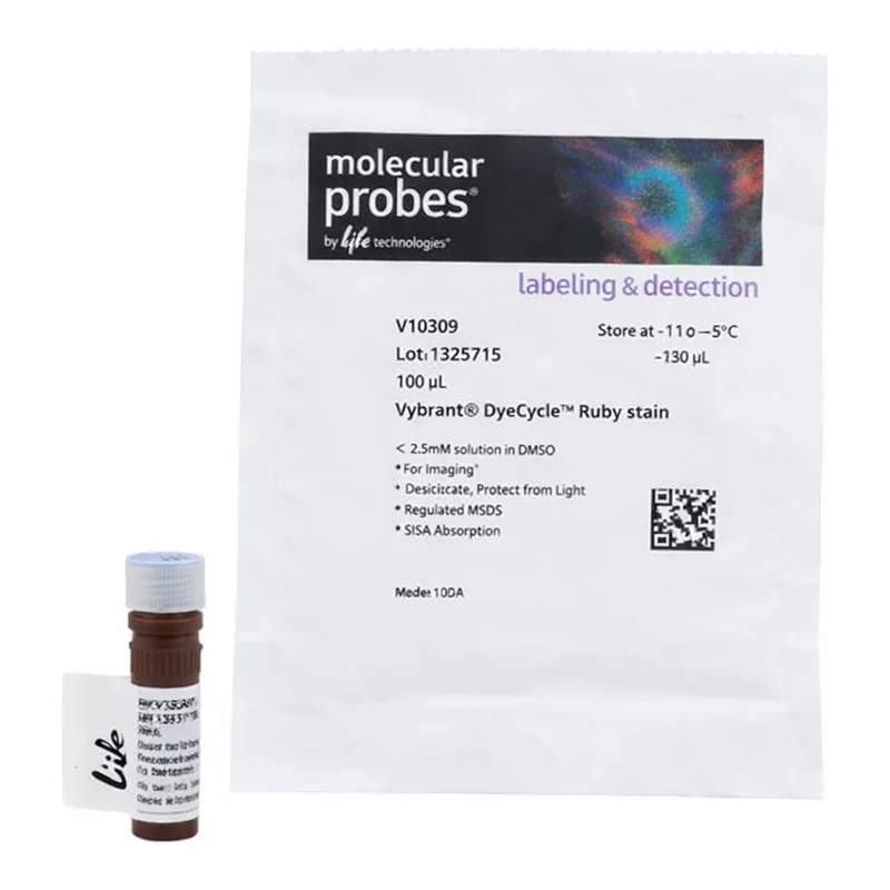 Thermo Fisher Scientific Vybrant DyeCycle Ruby Stain, 100 reactions