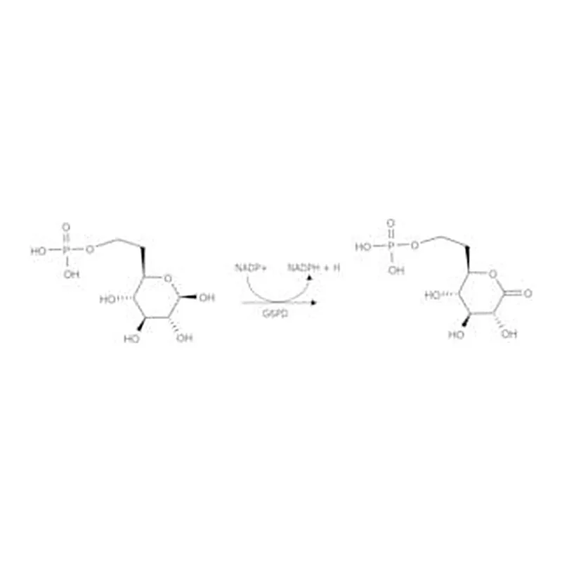 Merck GLUCOSE 6-PHOSPHATE DEHYDROGENASE, LEUCO
