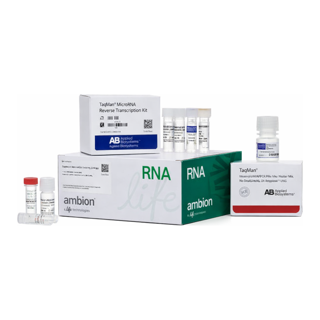 Thermo Fisher Scientific TaqMan MicroRNA Cells-to-CT Kit