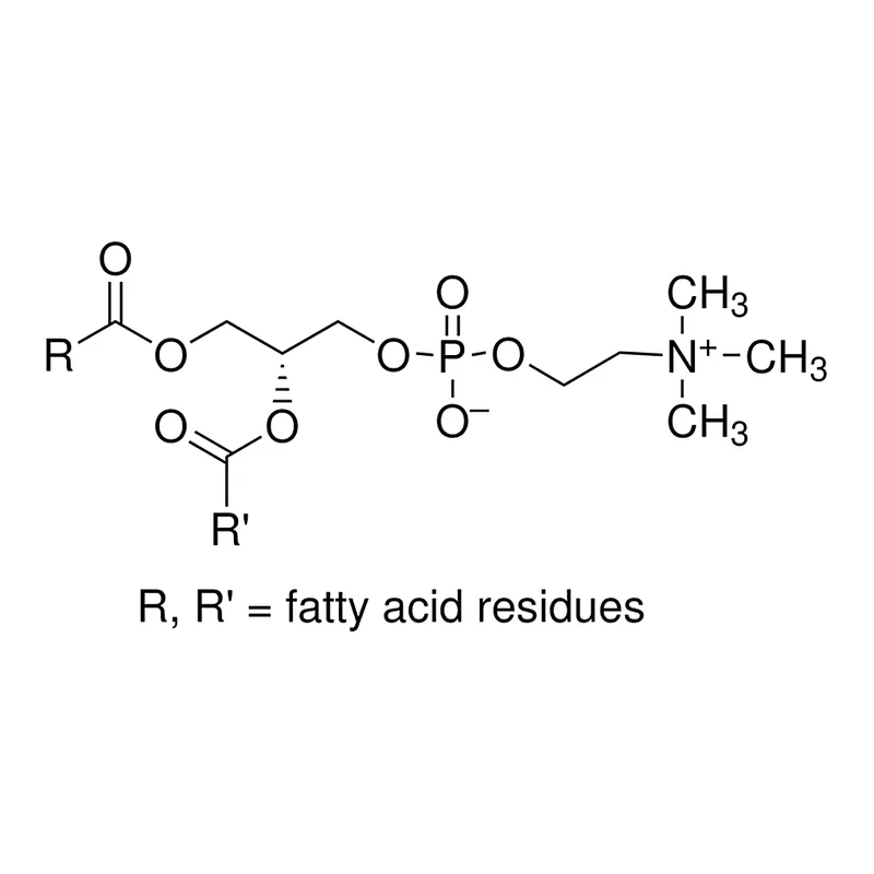 Merck L-alpha-Phosphatidylcholine