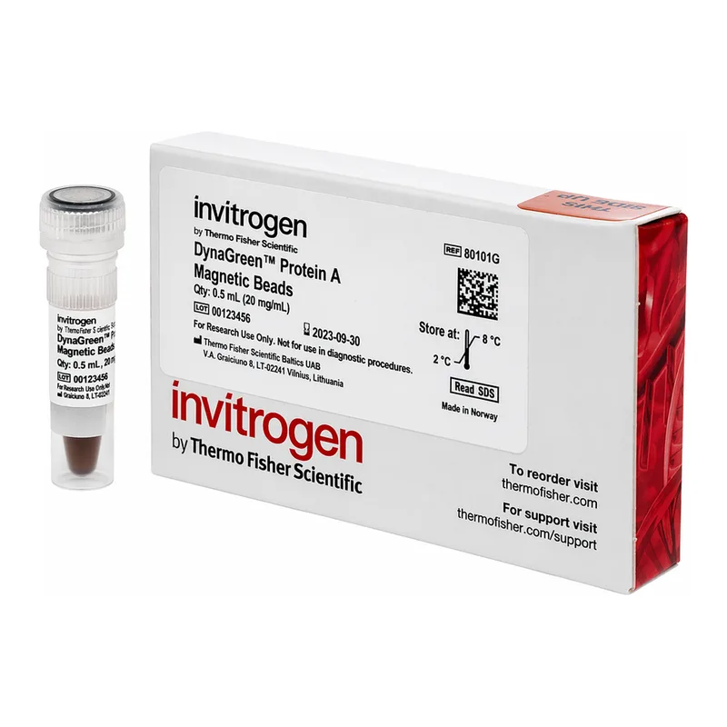 Thermo Fisher Scientific DynaGreen Protein A Magnetic Beads, 0.5 mL, 20 rxns