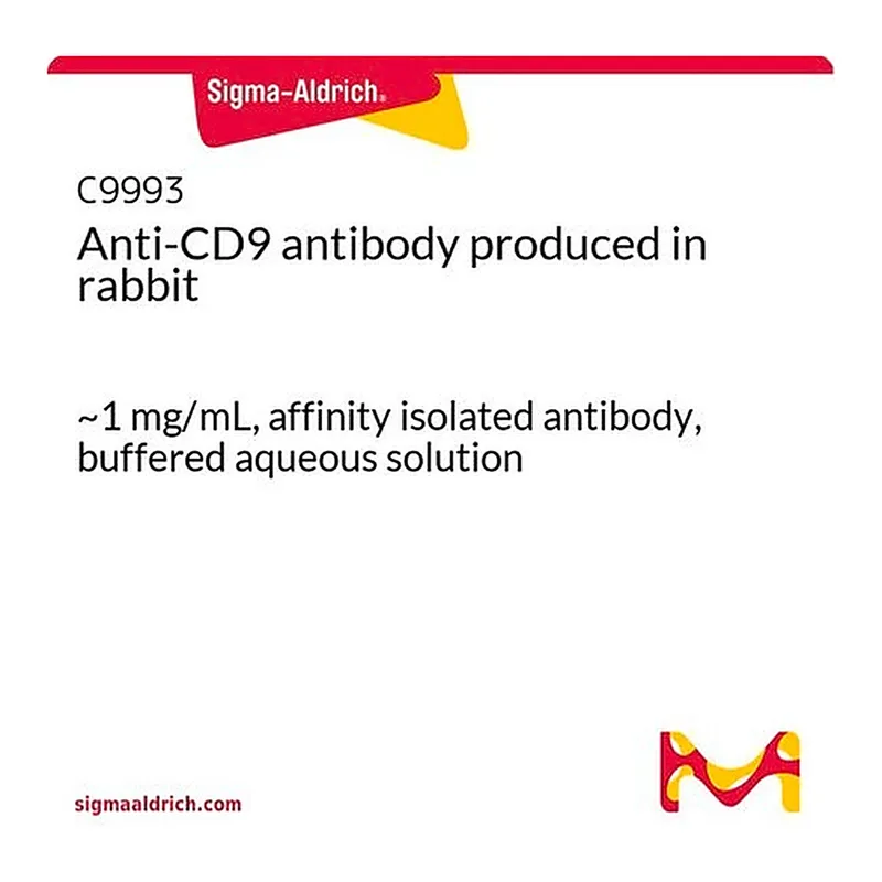 Merck Anti-CD9 antibody produced in rabbit