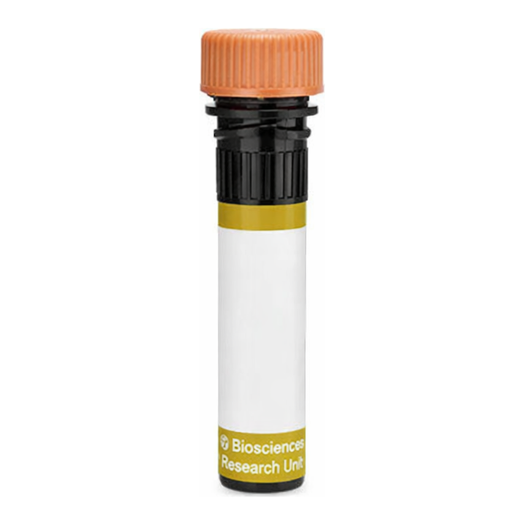 BD RY610 Mouse Anti-Human Podoplanin