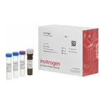 Thermo Fisher Scientific MCP-2 (CCL8) Mouse ProcartaPlex Simplex Kit