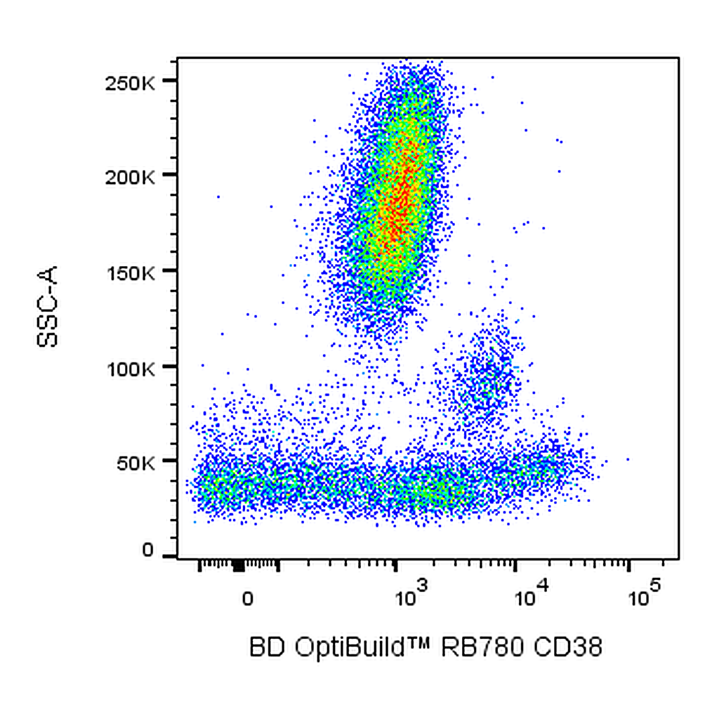 BD RB780 Mouse Anti-Human CD38 (Leu-17)
