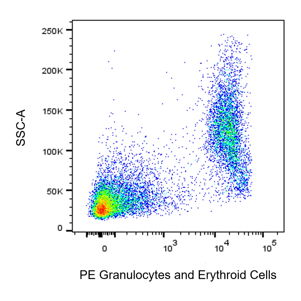 BD PE Mouse Anti-Rat Granulocytes and Erythroid Cells