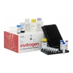 Thermo Fisher Scientific ProcartaPlex Human Inflammation Panel, 20plex