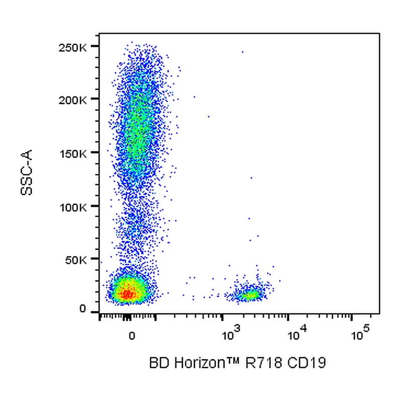 BD R718 Mouse Anti-Human CD19