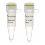 Thermo Fisher Scientific BseLI (BslI) (10 U/μL)