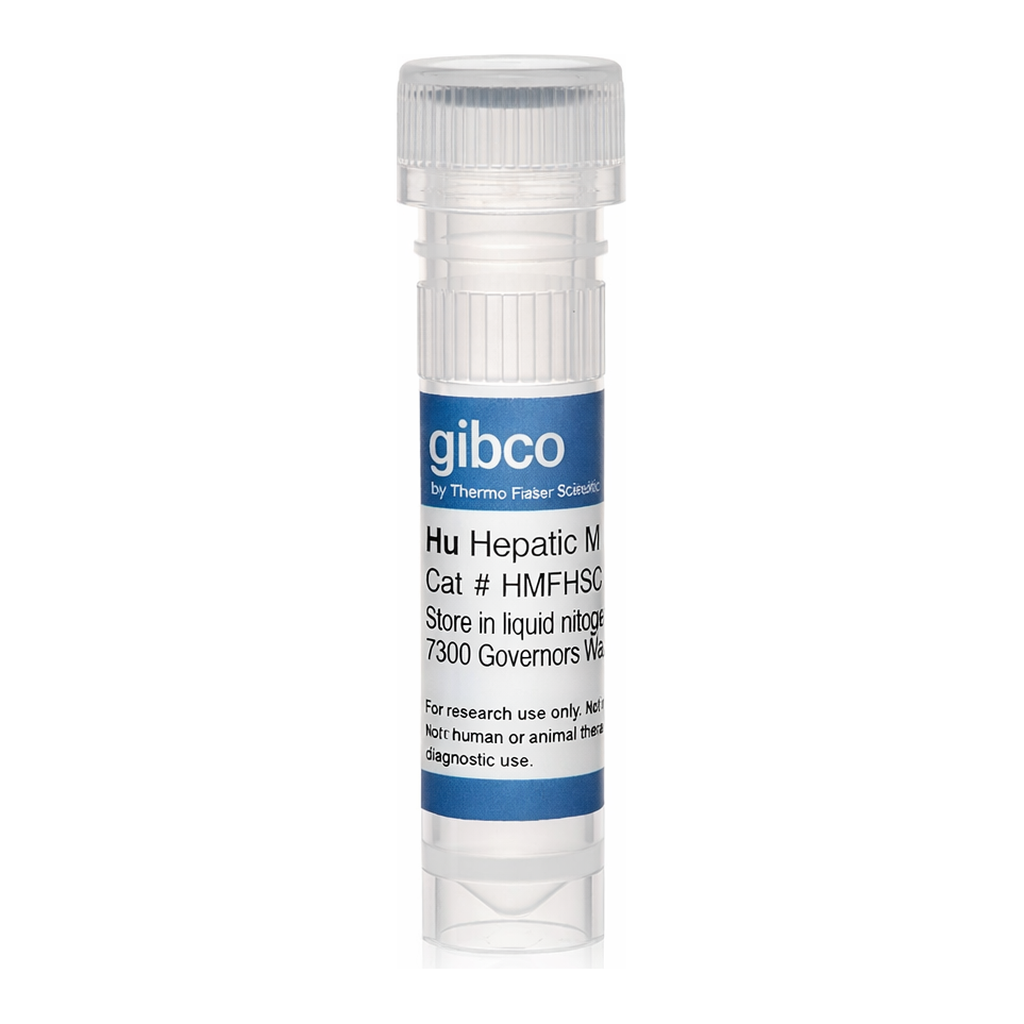 Thermo Fisher Scientific Activated Human Myofibroblastic Hepatic Stellate Cells (MF-HSCs)
