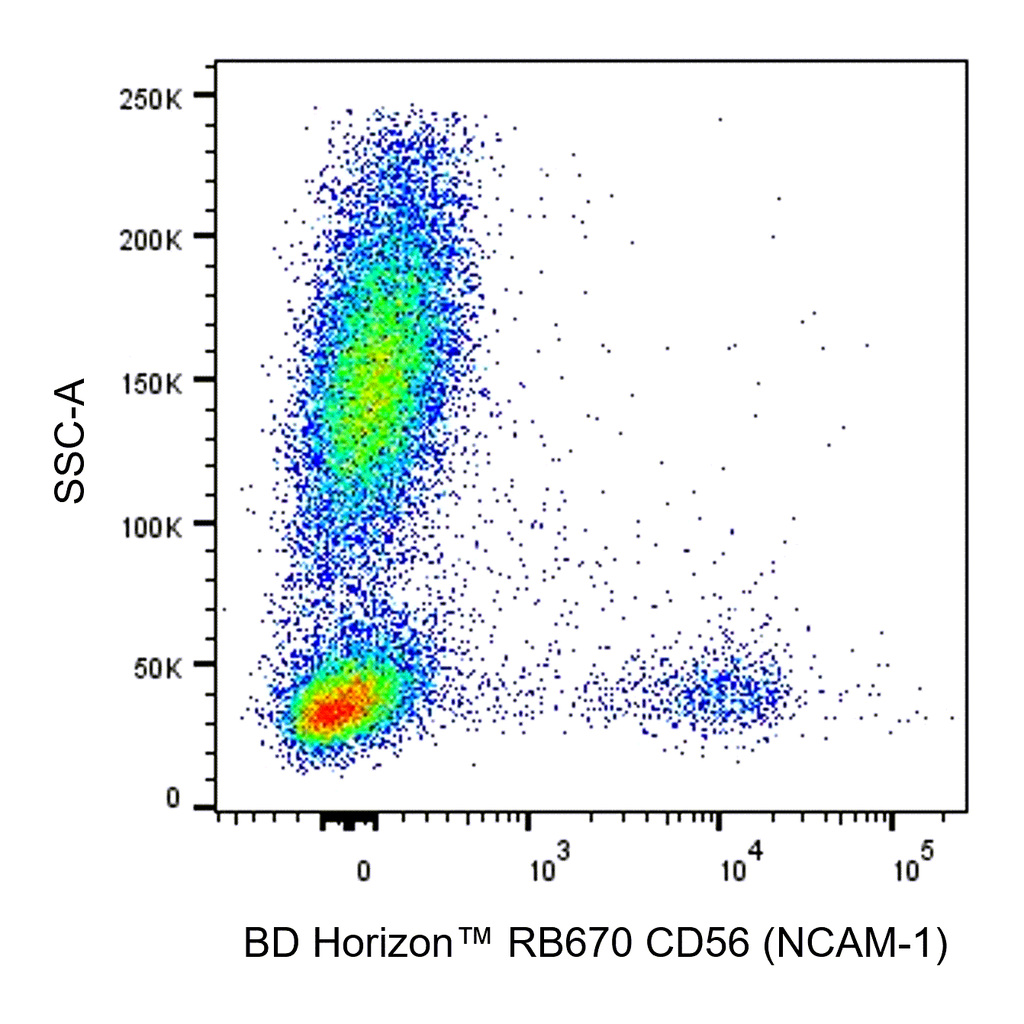 BD RB670 Mouse Anti-Human CD56 (NCAM-1)